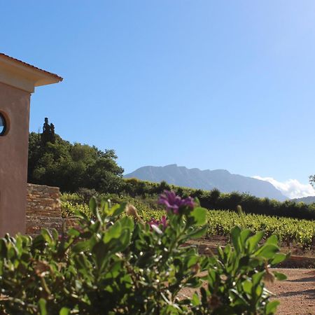 La Bastide - Le Grenache - Le Syrah Au Domaine Chateau Henri Bonnaud Le Tholonet Exteriör bild
